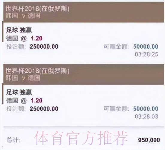 全面解析世界杯买球平台全站特点